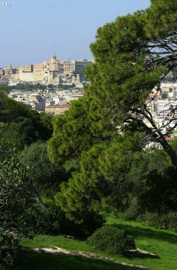 Affittacamere Mapi's Cagliari